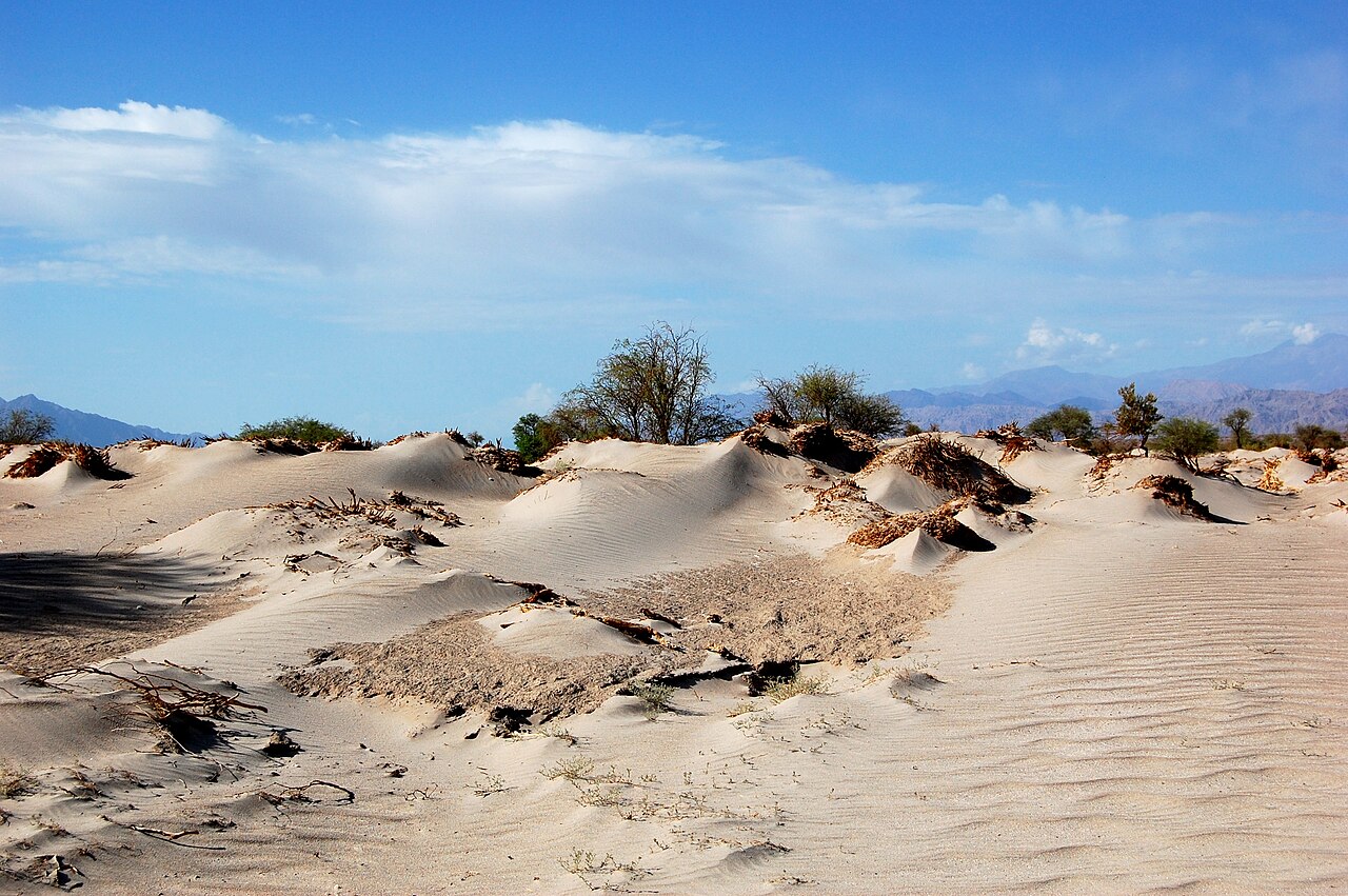 Dunas de Tatón y Saujil — foto 3